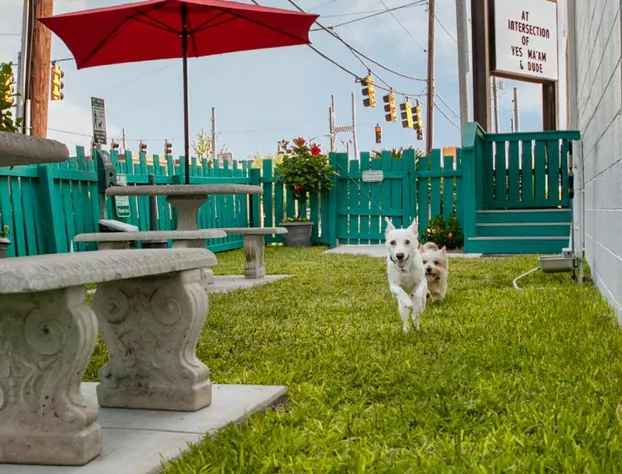 Thunderbird Inn hotel detail image 4