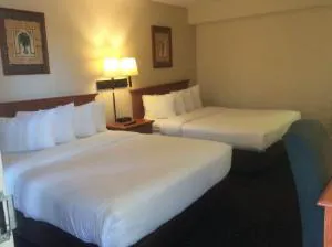 Quality Inn Palm Springs Downtown hotel detail image 1