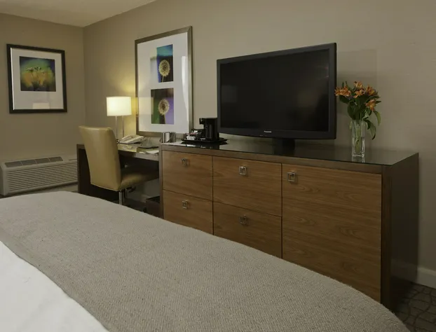 DoubleTree by Hilton Pittsburgh - Green Tree hotel detail image 4