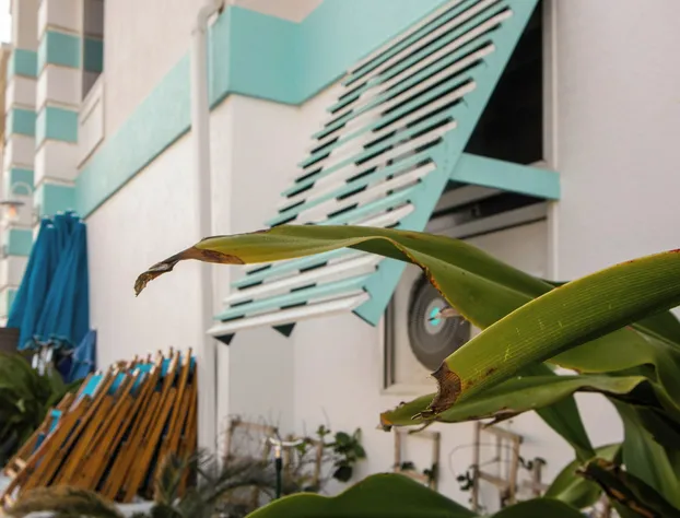 Ocean Sands Beach Boutique Inn - 1 Acre Private Beach hotel detail image 4