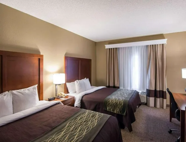 Comfort Inn & Suites hotel detail image 4