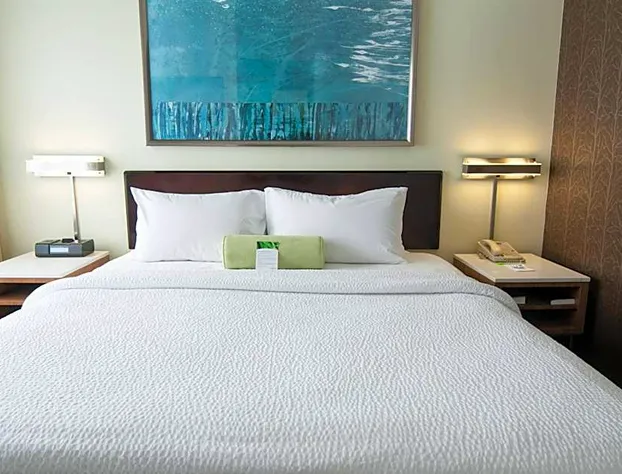 SpringHill Suites by Marriott Pittsburgh Monroeville hotel detail image 4