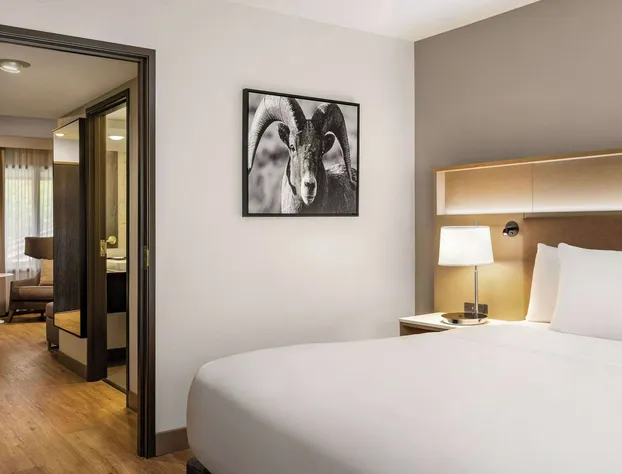 Radisson Hotel Colorado Springs Airport hotel detail image 4