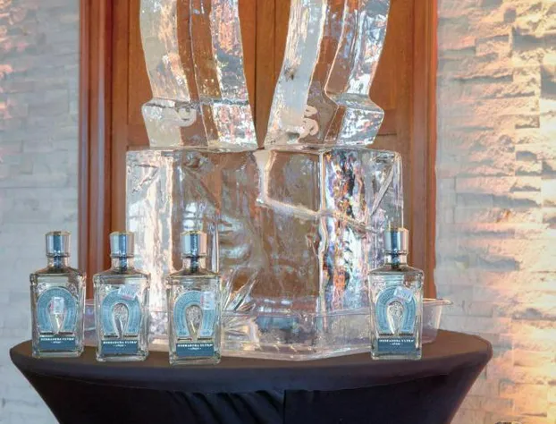 Marriott Dallas Las Colinas hotel detail image 3