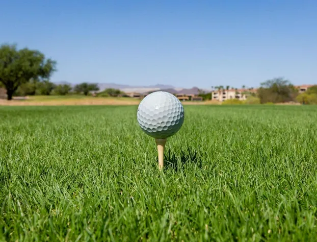 Canoa Ranch Golf Resort hotel detail image 4