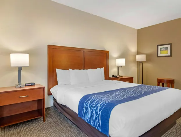 Comfort Inn Douglasville - Atlanta West hotel detail image 2