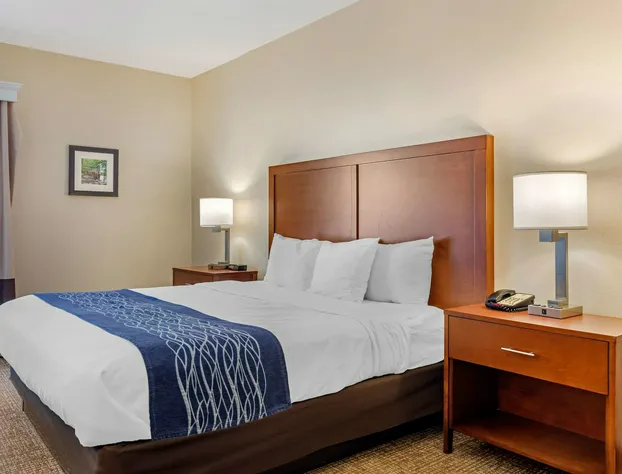 Comfort Inn Douglasville - Atlanta West hotel detail image 3