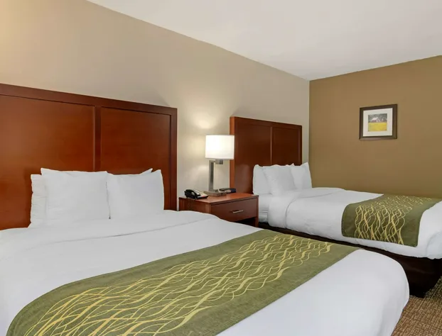 Comfort Inn Douglasville - Atlanta West hotel detail image 4