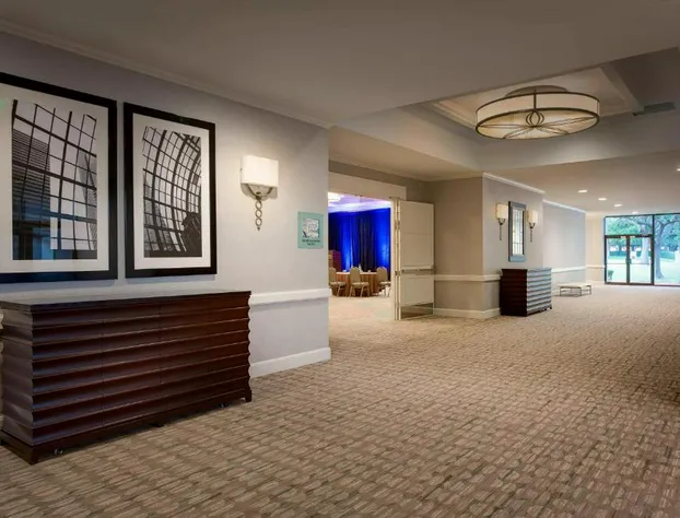 Dallas/Addison Marriott Quorum by the Galleria hotel detail image 3