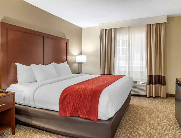 Comfort Inn & Suites Macon North I-75 hotel detail image 4