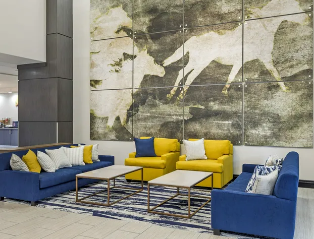 Comfort Inn & Suites Irving Las Colinas DFW hotel detail image 4