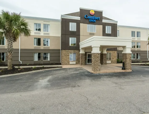 Comfort Inn N Myrtle Beach Barefoot Landing hotel detail image 2