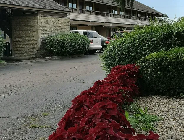 American Value Inn hotel detail image 3