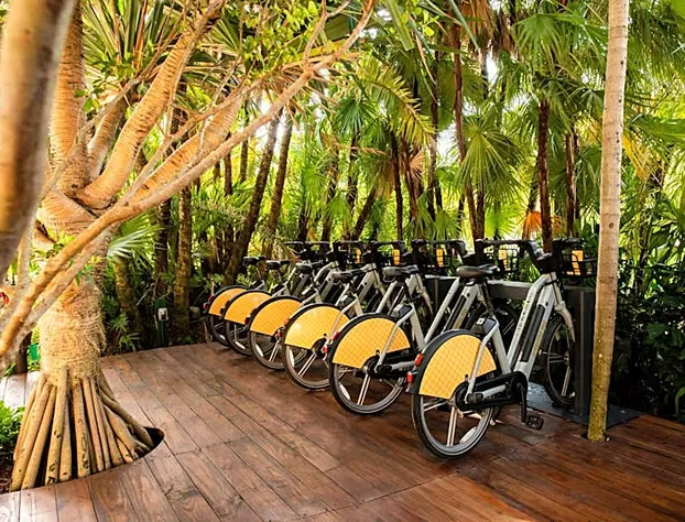 The Standard Spa Miami Beach hotel detail image 2