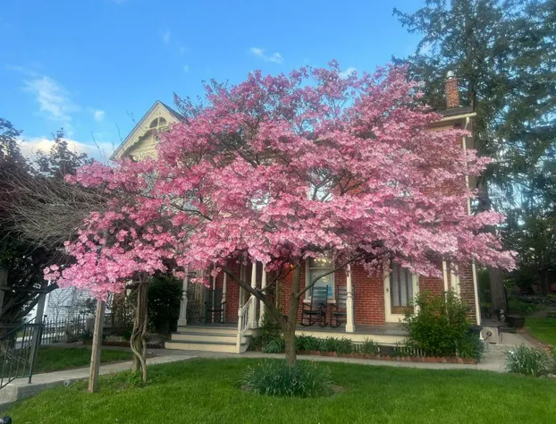 Brickhouse Inn hotel detail image 2