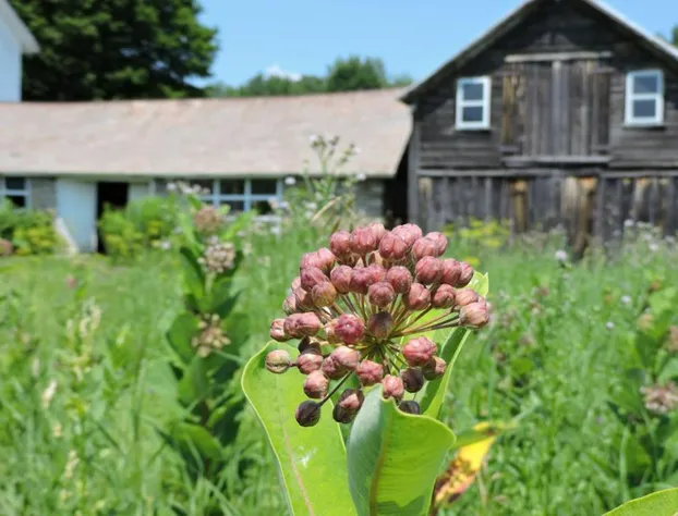 Saratoga Farmstead B&B hotel detail image 2