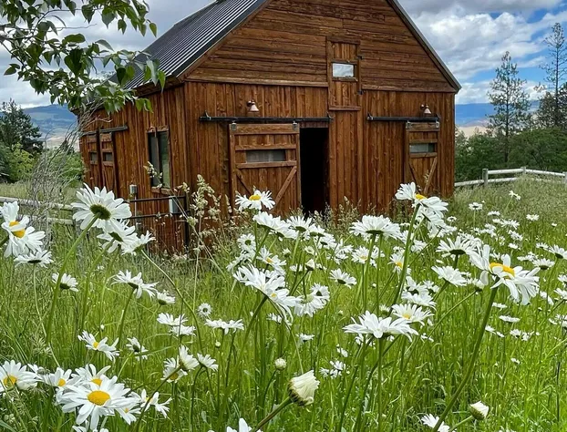 Country Willows Inn and Estate hotel detail image 3