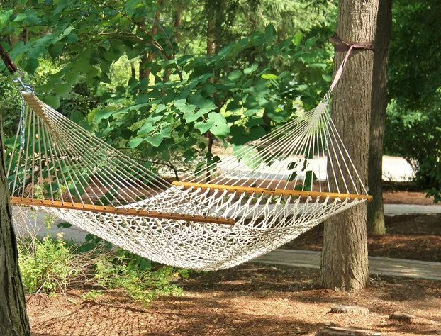 Caldwell House Bed & Breakfast hotel detail image 4