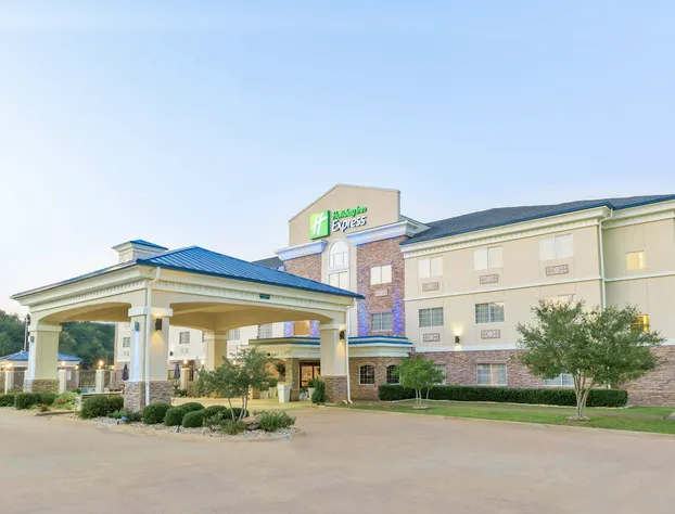 Holiday Inn Express Palestine by IHG hotel detail image 1