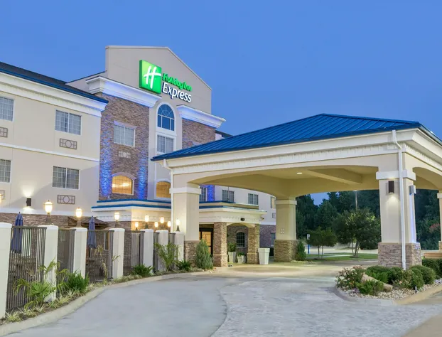 Holiday Inn Express Palestine by IHG hotel detail image 2