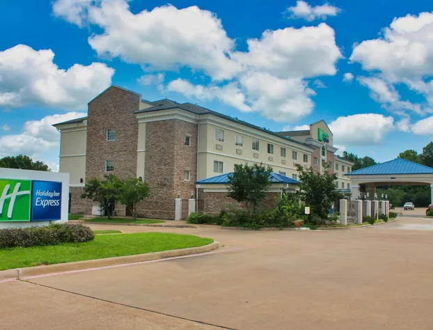 Holiday Inn Express Palestine by IHG hotel detail image 2