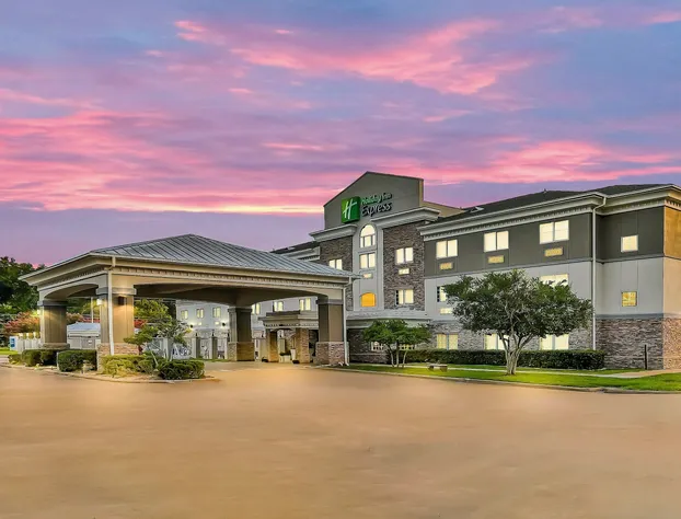 Holiday Inn Express Palestine by IHG hotel detail image 3