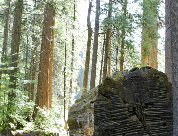 Mountain Retreat Resort hotel detail image 1