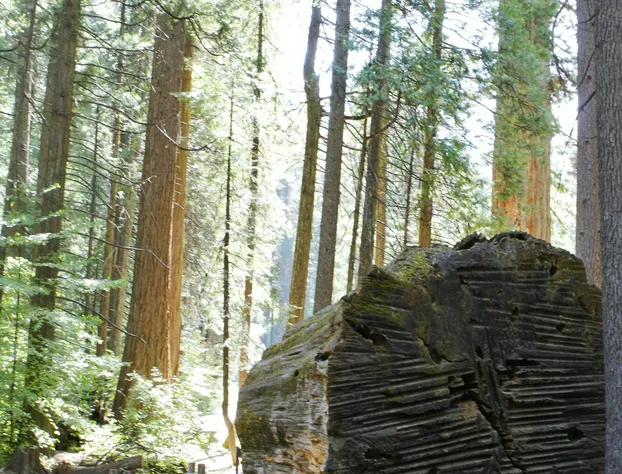 Mountain Retreat Resort hotel detail image 1