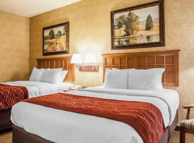 Comfort Inn & Suites Macon hotel detail image 1