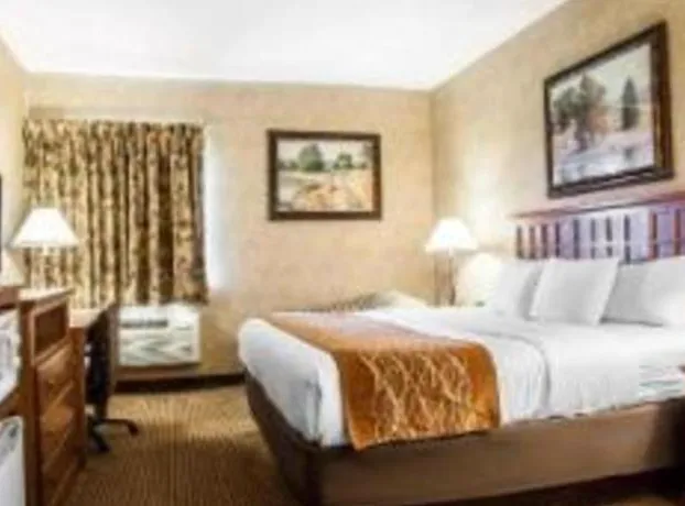 Comfort Inn & Suites Macon hotel detail image 3