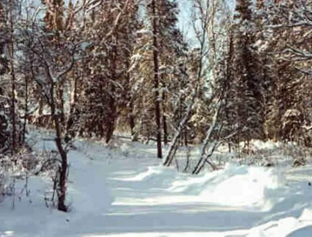 Daniels Lake Lodge B&B hotel detail image 1