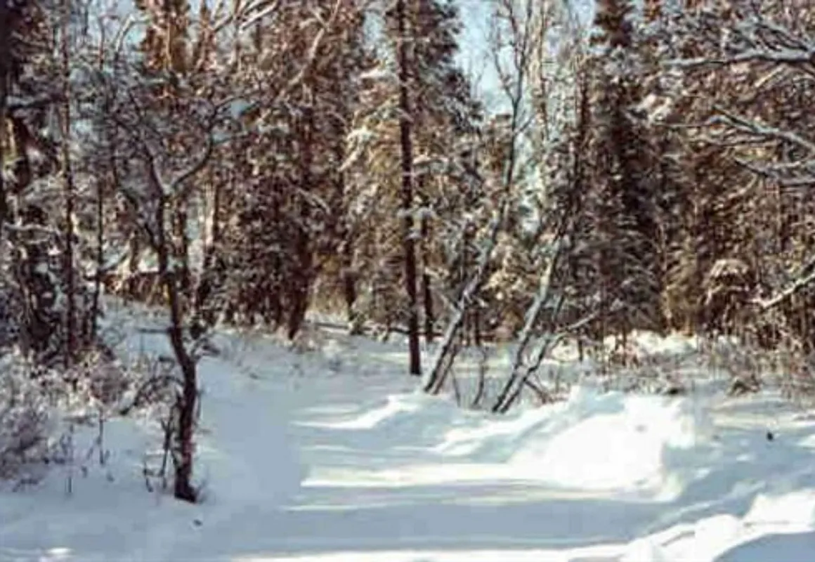 Daniels Lake Lodge B&B hotel hero