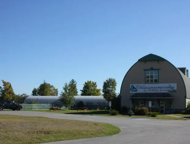 Holiday Inn Express Deer Lake By IHG hotel detail image 1