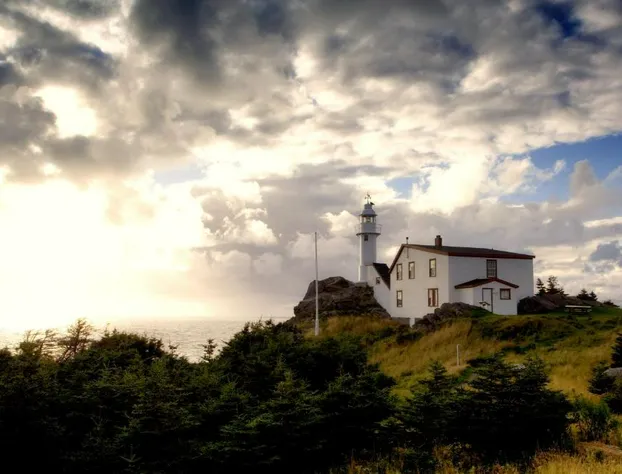 Holiday Inn Express Deer Lake By IHG hotel detail image 4