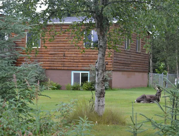 AllSeasons Bed & Breakfast hotel detail image 2