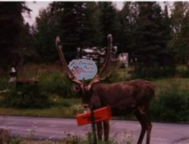 AllSeasons Bed & Breakfast hotel detail image 3