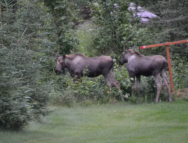 AllSeasons Bed & Breakfast hotel detail image 4