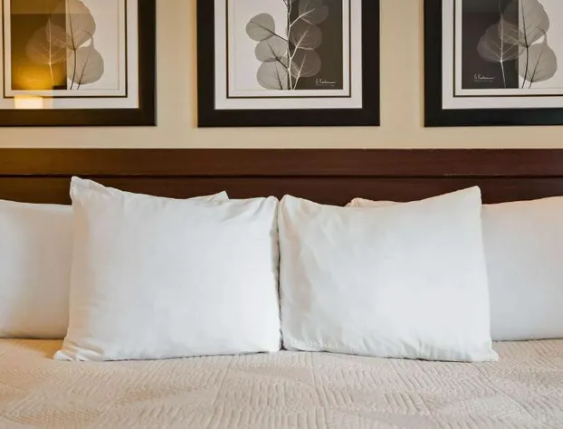 Silver Fox Inn hotel detail image 4