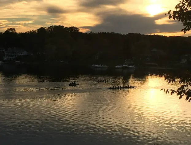 Laurel Grove Inn on the South hotel detail image 3