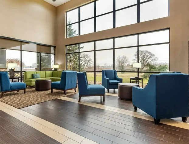 Comfort Suites South hotel detail image 3