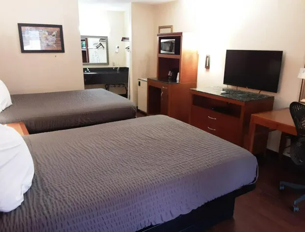 Econo Lodge Inn & Suites Griffin North hotel detail image 2
