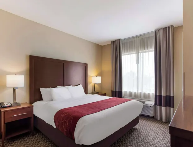 Comfort Suites Saraland - North Mobile hotel detail image 4