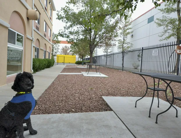 Days Inn & Suites by Wyndham Airport Albuquerque hotel detail image 4