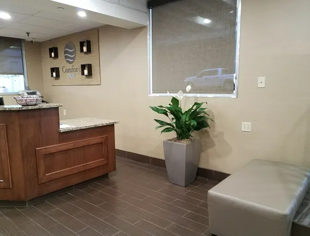 Comfort Inn Memphis Downtown hotel detail image 3