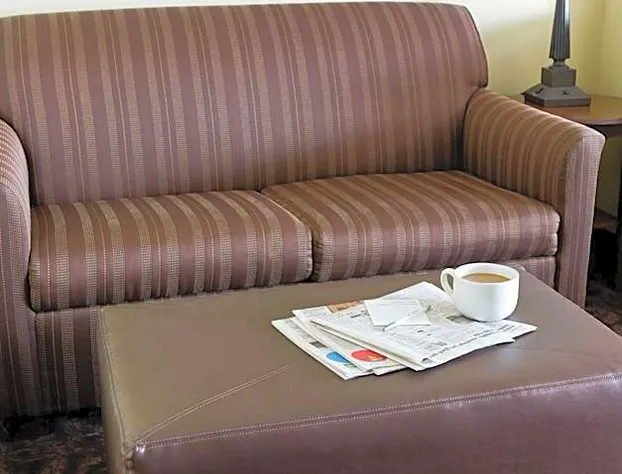 Hampton Inn San Angelo hotel detail image 3