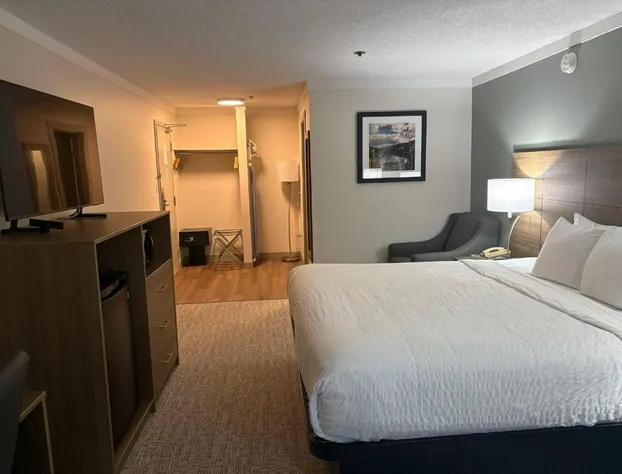 Quality Inn & Suites hotel detail image 4