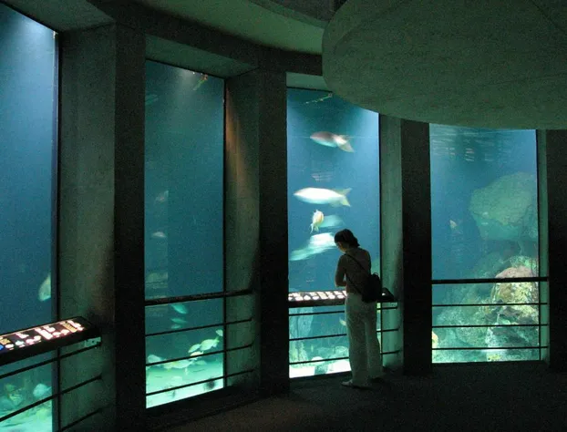 Best Western Plus Hotel & Conference Center hotel detail image 4