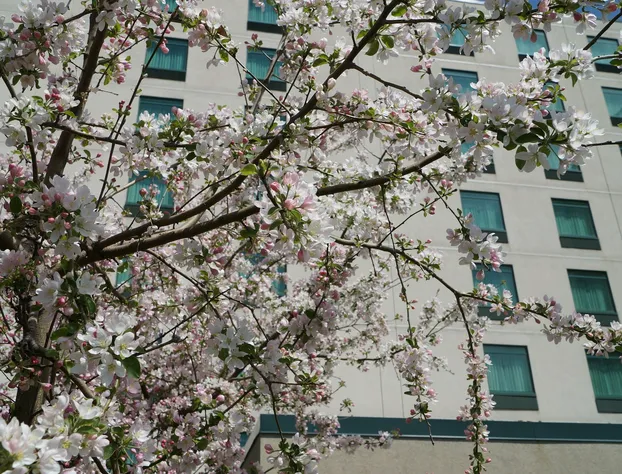 Clarion Suites at the Alliant Energy Center hotel detail image 1