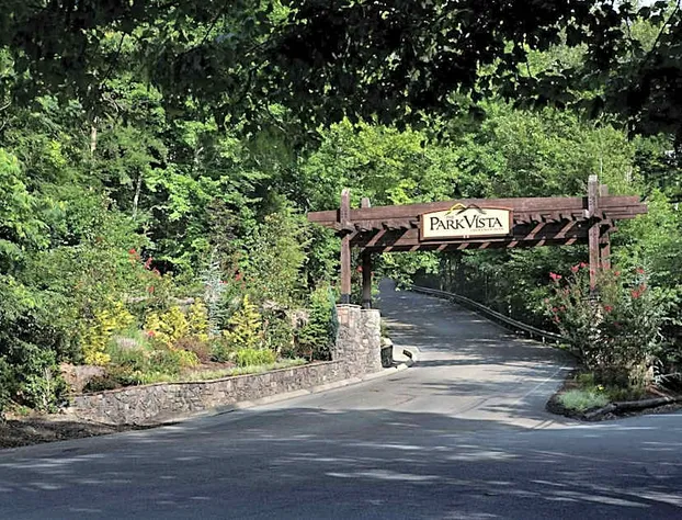 The Park Vista - a DoubleTree by Hilton Hotel - Gatlinburg hotel detail image 4