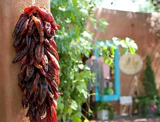 Courtyard by Marriott Albuquerque Airport hotel detail image 1